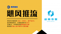 流的成功并非个例